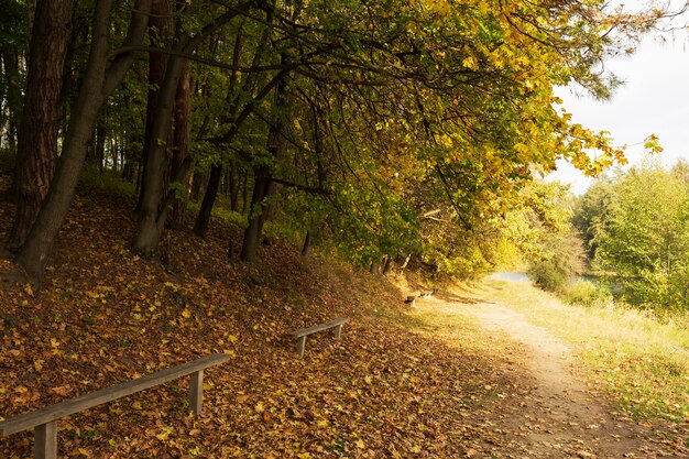 Schöne Landschaft von Mutter Natur