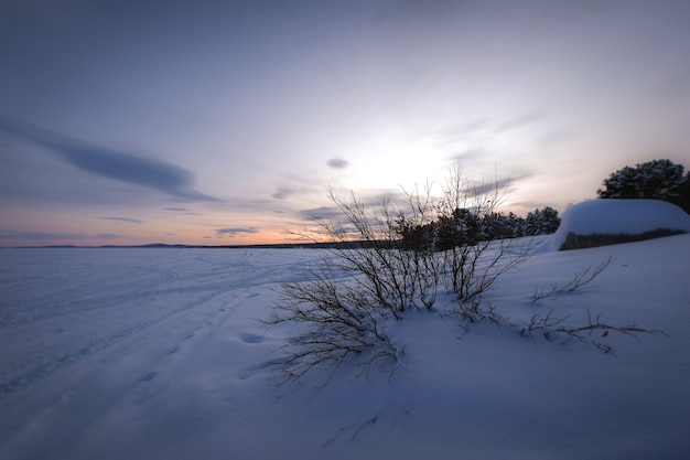 Schöne Landschaft von vielen blattlosen Bäumen in einem schneebedeckten Land während des Sonnenuntergangs