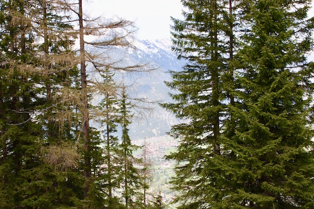 Kostenloses Foto schöne landschaft