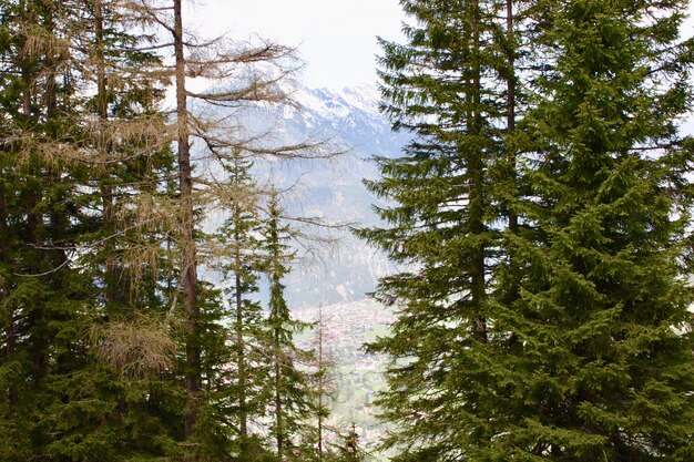 Schöne Landschaft