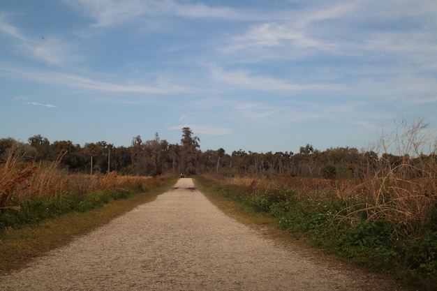 Schöne Landschaft