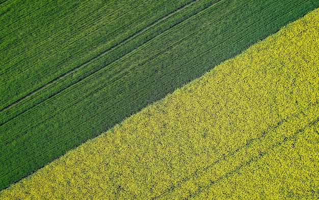 Kostenloses Foto schöne landwirtschaftliche halb grüne halb gelbe grasfläche, die mit einer drohne geschossen wird