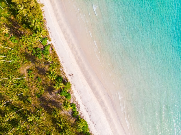 Schöne Luftaufnahme des Strandes und des Meeres mit KokosnussPalme