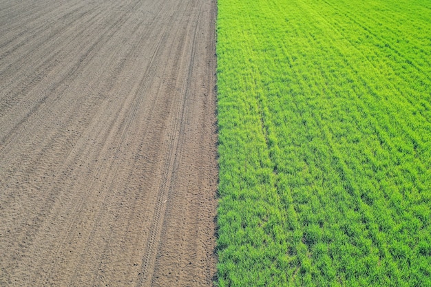 Schöne Luftaufnahme eines grünen landwirtschaftlichen Feldes