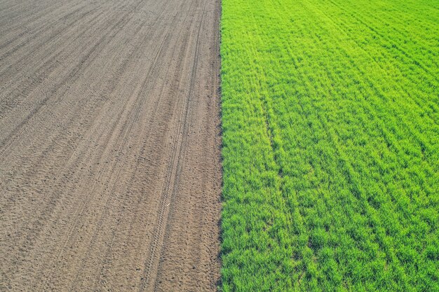 Schöne Luftaufnahme eines grünen landwirtschaftlichen Feldes