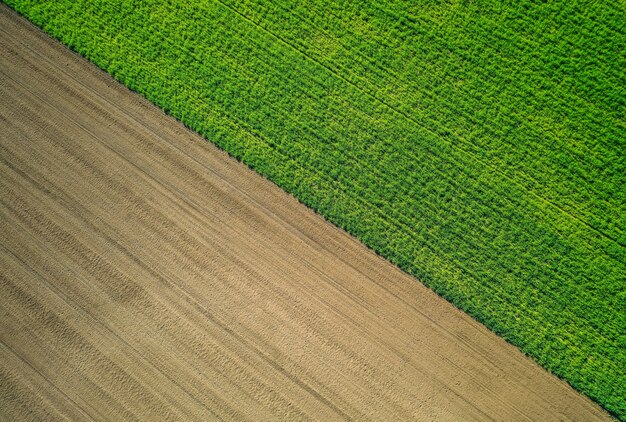 Schöne Luftaufnahme eines grünen landwirtschaftlichen Feldes