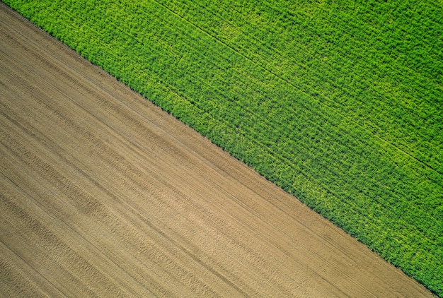 Schöne Luftaufnahme eines grünen landwirtschaftlichen Feldes