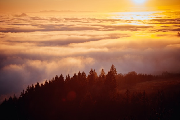 Schöne Luftaufnahme eines Waldes auf einem Hügel mit schönem Nebel in der Ferne bei Sonnenaufgang