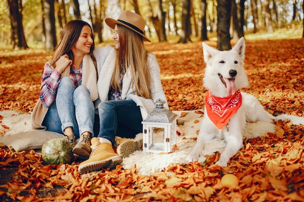 Schöne Mädchen haben Spaß in einem Herbstpark