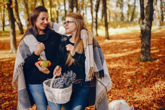 Kostenloses Foto schöne mädchen haben spaß in einem herbstpark