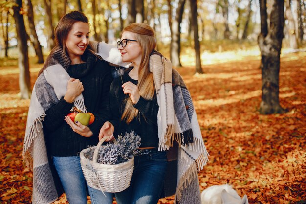 Schöne Mädchen haben Spaß in einem Herbstpark