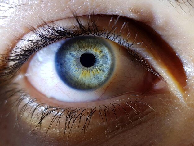 Schöne Nahaufnahmeaufnahme der tiefblauen Augen eines weiblichen Menschen