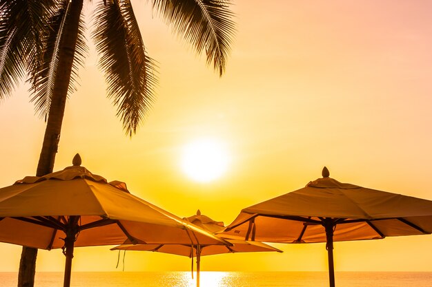 Schöne Natur im Freien mit Himmel und Sonnenuntergang oder Sonnenaufgang um KokosnussPalme