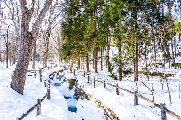 Schöne Naturlandschaft im Freien mit Baum in der Schneewintersaison bei Hokkaido