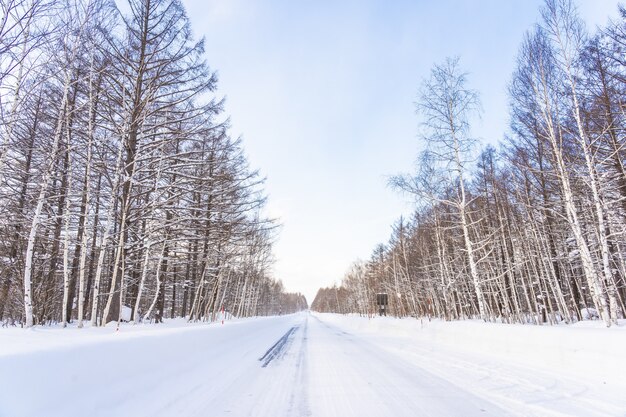 Schöne Naturlandschaft im Freien mit Baum in der Schneewintersaison bei Hokkaido