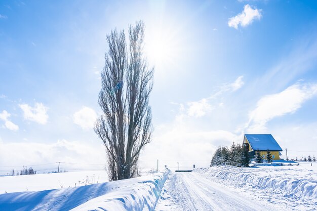 Schöne Naturlandschaft im Freien mit Baum von Ken und von Mary in Biei-Bereich