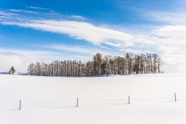 Schöne Naturlandschaft im Freien mit Gruppe des Baumasts in der Schneewintersaison