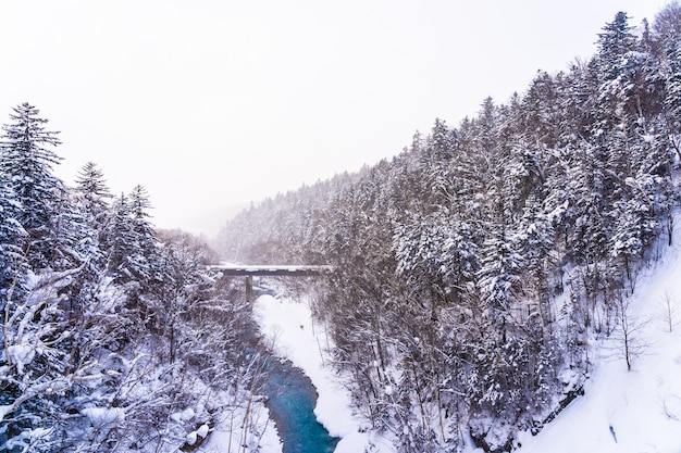 Schöne Naturlandschaft im Freien mit shirahige Wasserfall und Brücke in der Schneewintersaison