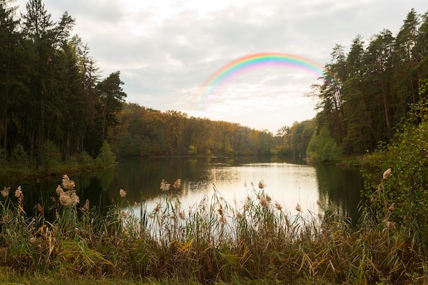 Kostenloses Foto schöne naturlandschaft mit regenbogen