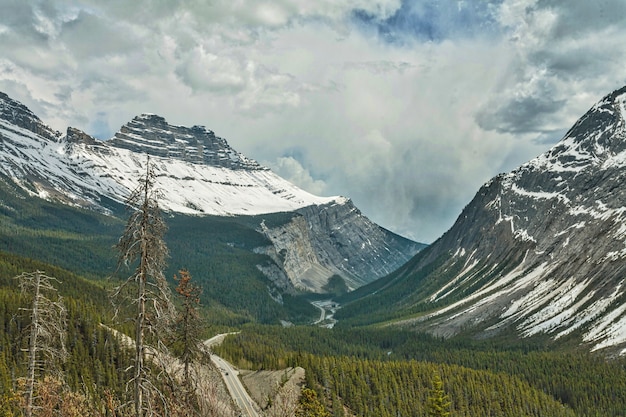 Schöne niedrige Winkellandschaft der verschneiten kanadischen Rocky Mountains
