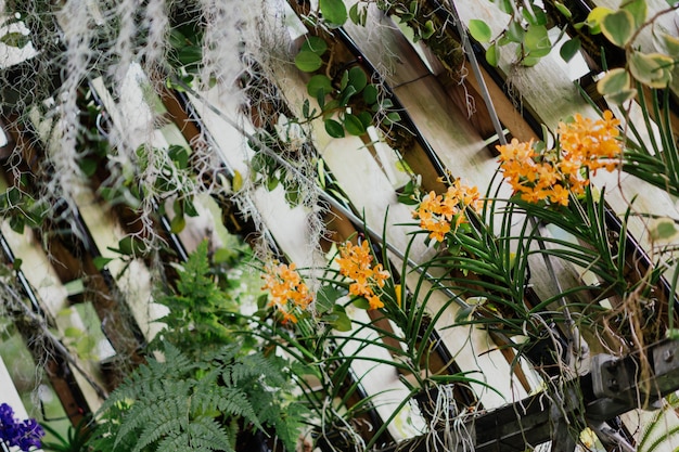 Schöne orange Blumenarrangements