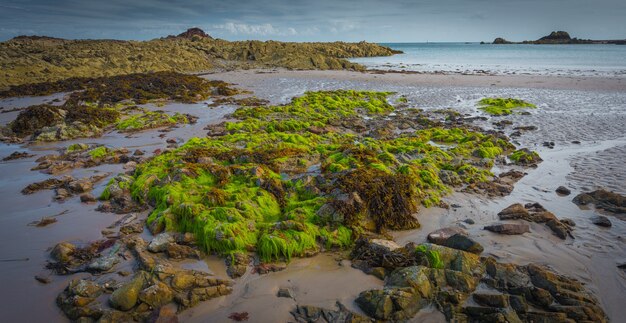 Schöne Panoramaaufnahme einer Landschaft von moosigen Felsen mit einem ruhigen Meer