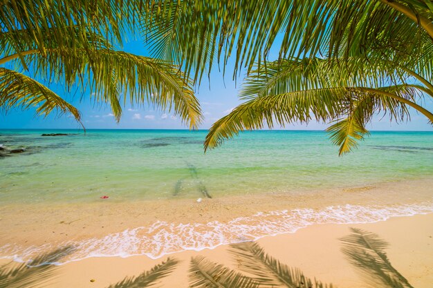 Schöne Paradiesinsel mit Meer- und Strandlandschaft