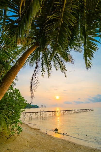 Kostenloses Foto schöne paradiesinsel mit strand und meer um kokosnusspalme