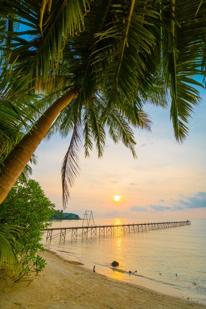 Schöne Paradiesinsel mit Strand und Meer um Kokosnusspalme