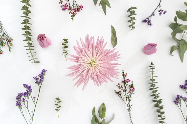 Schöne rosa Blume von anderen Pflanzen umgeben