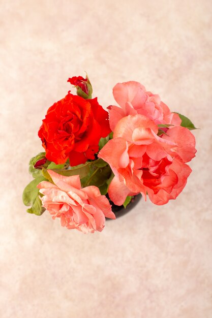 Schöne rosa Blumen einer roten Ansicht der Draufsicht innerhalb des schwarzen Kruges lokalisiert auf Tisch und rosa