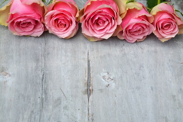 Schöne rosa Rosen auf einer Holzoberfläche