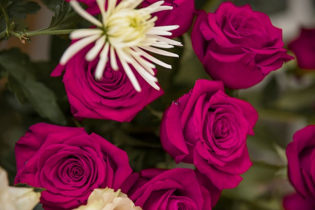 Kostenloses Foto schöne rosa rosen im blumenstrauß