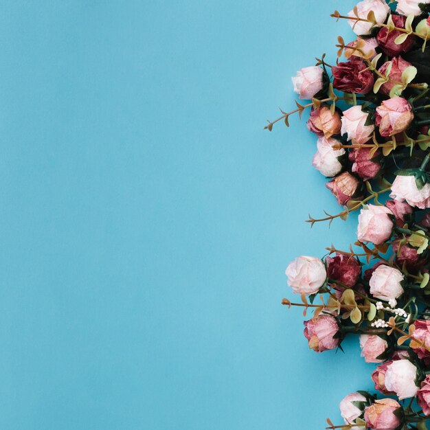 Schöne Rosen auf blauem Untergrund