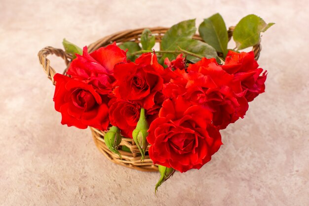 Schöne rote Blumen der Draufsicht der roten Rosen innerhalb des Korbs lokalisiert auf Tisch und Rosa