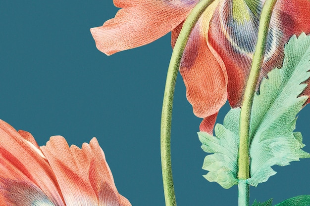 Schöne rote Mohnblumenhintergrundillustration, remixed von gemeinfreien Kunstwerken