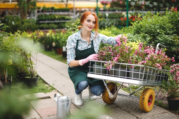 Schöne rothaarige Dame in Schürze und rosafarbenen Handschuhen, die verträumt in die Kamera schaut, während sie mit Blumen im Gartenwagen im Gewächshaus arbeitet