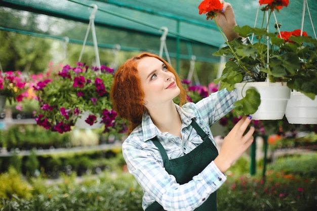 Schöne rothaarige Floristin in Schürze, die mit Blumen arbeitet. Junge lächelnde Dame, die mit Blumen steht und glücklich beiseite schaut