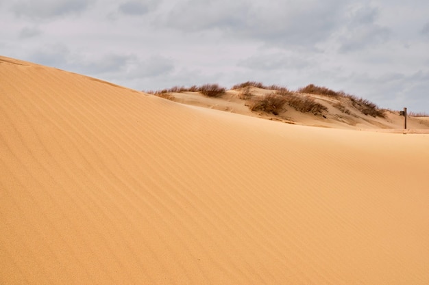 Kostenloses Foto schöne sanddünen mit wellen auf dem sand in den open-air-wolken bei bewölktem wetter natürlicher hintergrund für sommerdesign