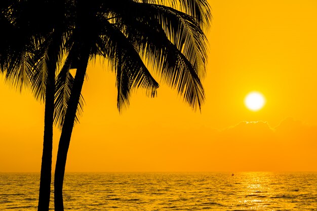 Schöne SchattenbildkokosnussPalme auf Himmel neary Seeozeanstrand zur Sonnenuntergang- oder Sonnenaufgangzeit