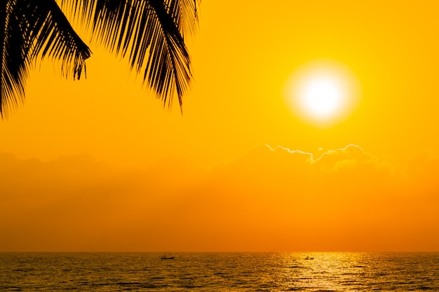 Schöne SchattenbildkokosnussPalme auf Himmel neary Seeozeanstrand zur Sonnenuntergang- oder Sonnenaufgangzeit