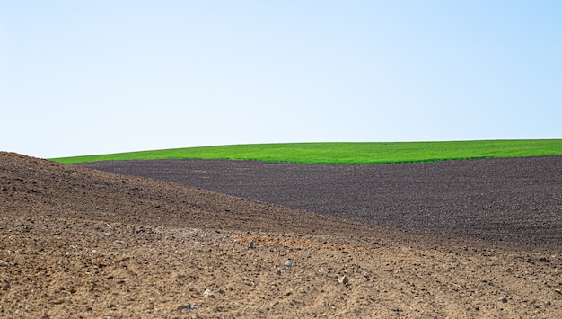 Kostenloses Foto schöne schwarze erdfelder in der ukraine. landwirtschaftliche ländliche landschaft