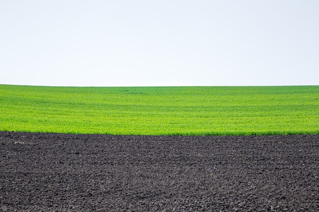 Schöne schwarze Erdfelder in der Ukraine. Landwirtschaftliche ländliche Landschaft