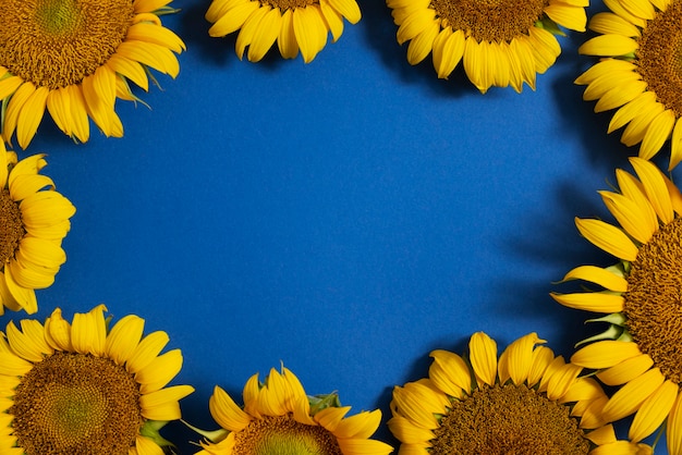 Kostenloses Foto schöne sonnenblumen im studiostillleben