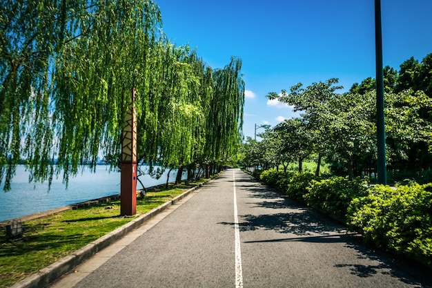 Kostenloses Foto schöne straße