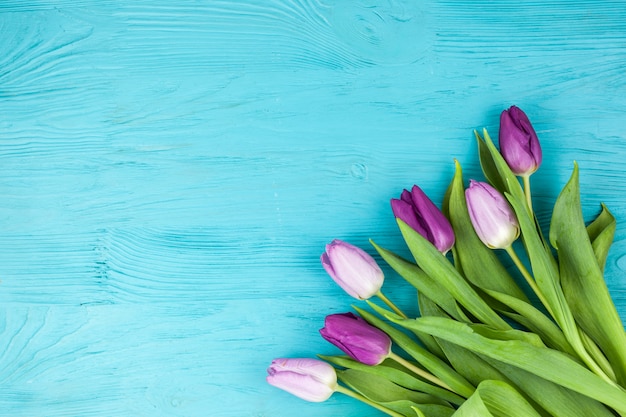 Schöne Tulpe blüht Bündel auf Türkisoberfläche