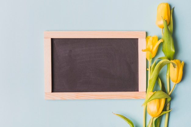 Kostenloses Foto schöne tulpen in der nähe von tafel