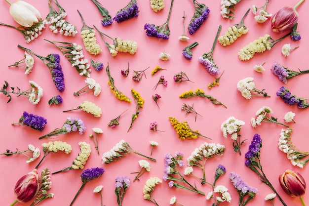 Kostenloses Foto schöne verschiedene blumen auf rosa hintergrund