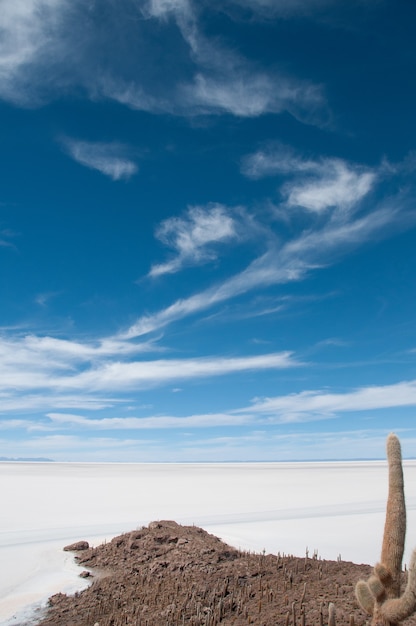 Schöne vertikale Aufnahme des Salzsees in Isla Incahuasi, Bolivien