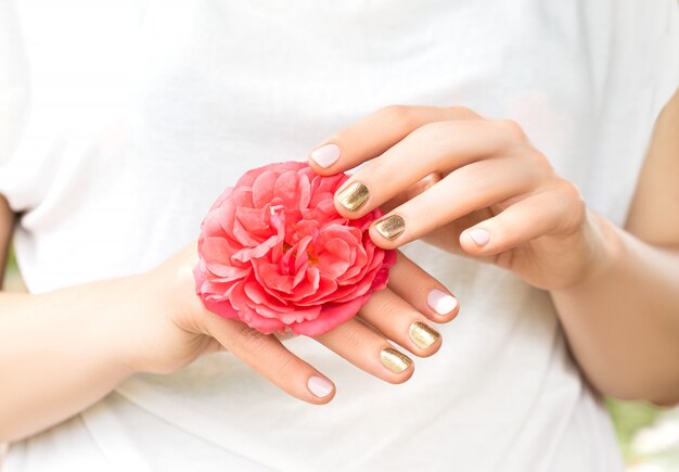 Schöne weibliche Hände mit perfektem goldenen und rosa Nageldesign halten frische Rosenblume